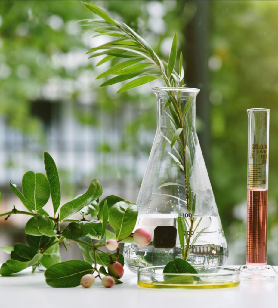 Botanical Lab Flask Botanical Lab Flask